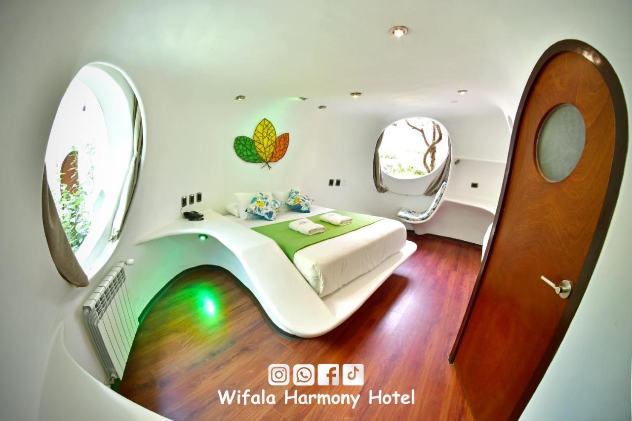 Standard Queen Room,1145303611:JPEG