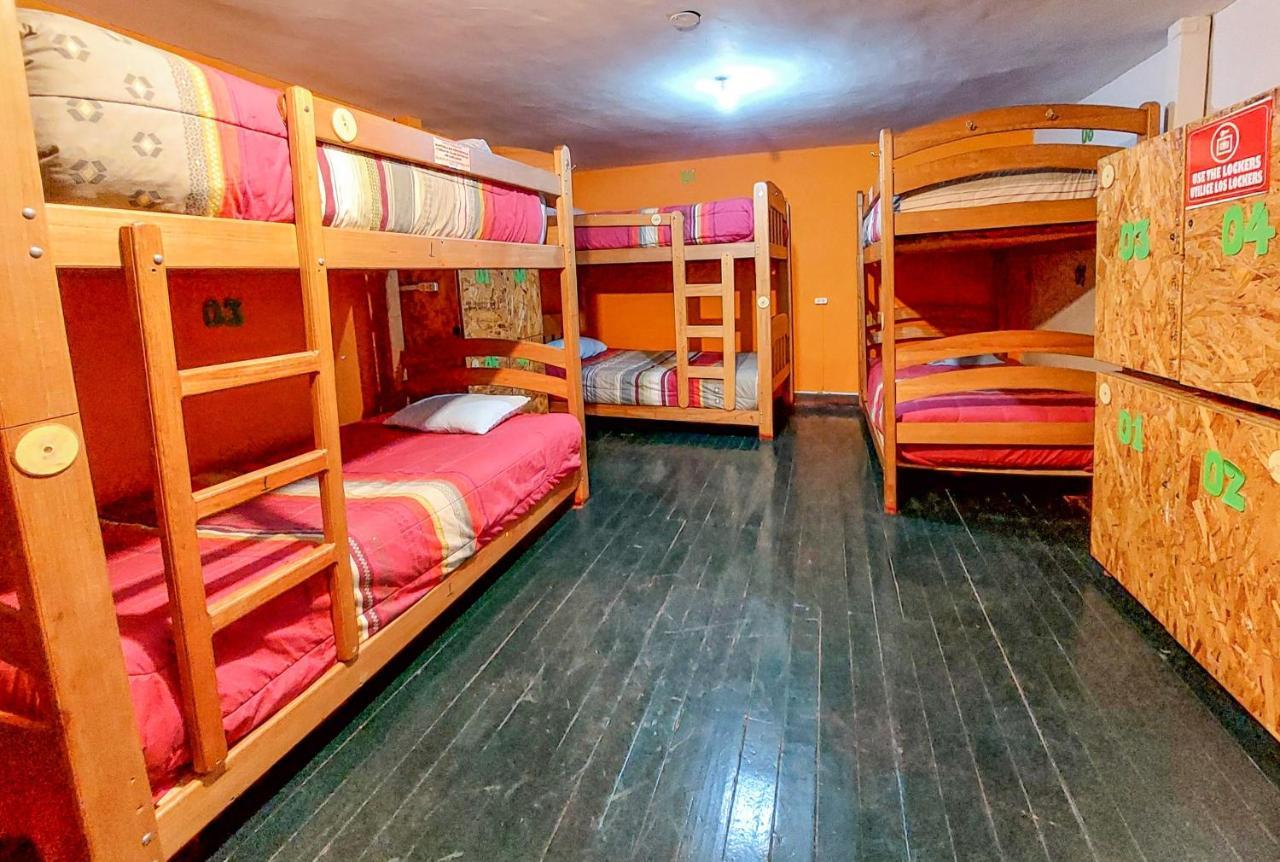8-Bed Mixed Dormitory Room,1380640871:JPEG