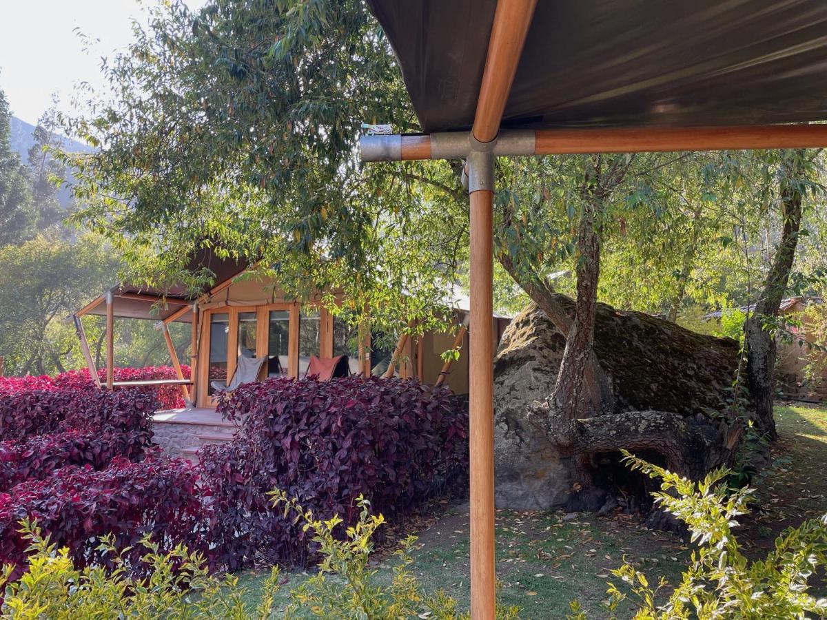 Luxury Family Tent - Shuttle from and to Train Station Included