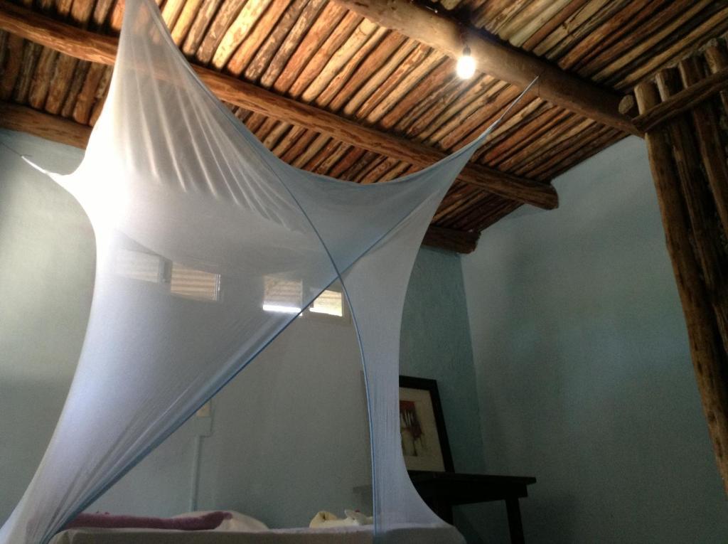 Superior Double Room,18485235:JPEG