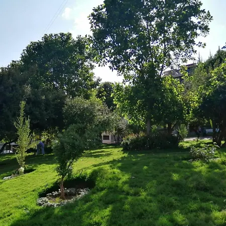 Huarango House II-2