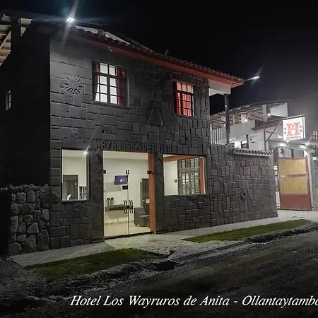 Los Wayruros De Anita-3