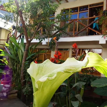 Hostel Andenes-2