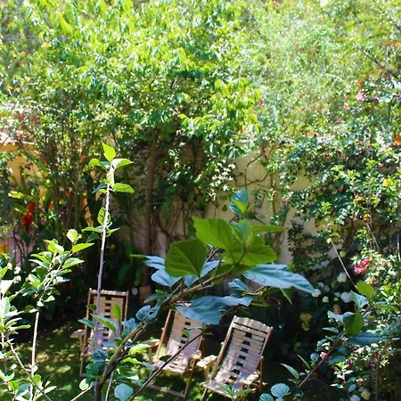 Inka Paradise-3