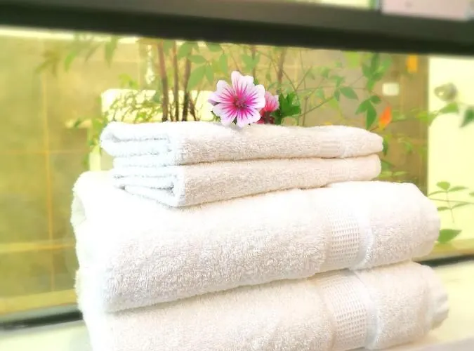 Pet friendly Cusco Kintu House Apartment